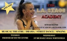 LA Stage Academy