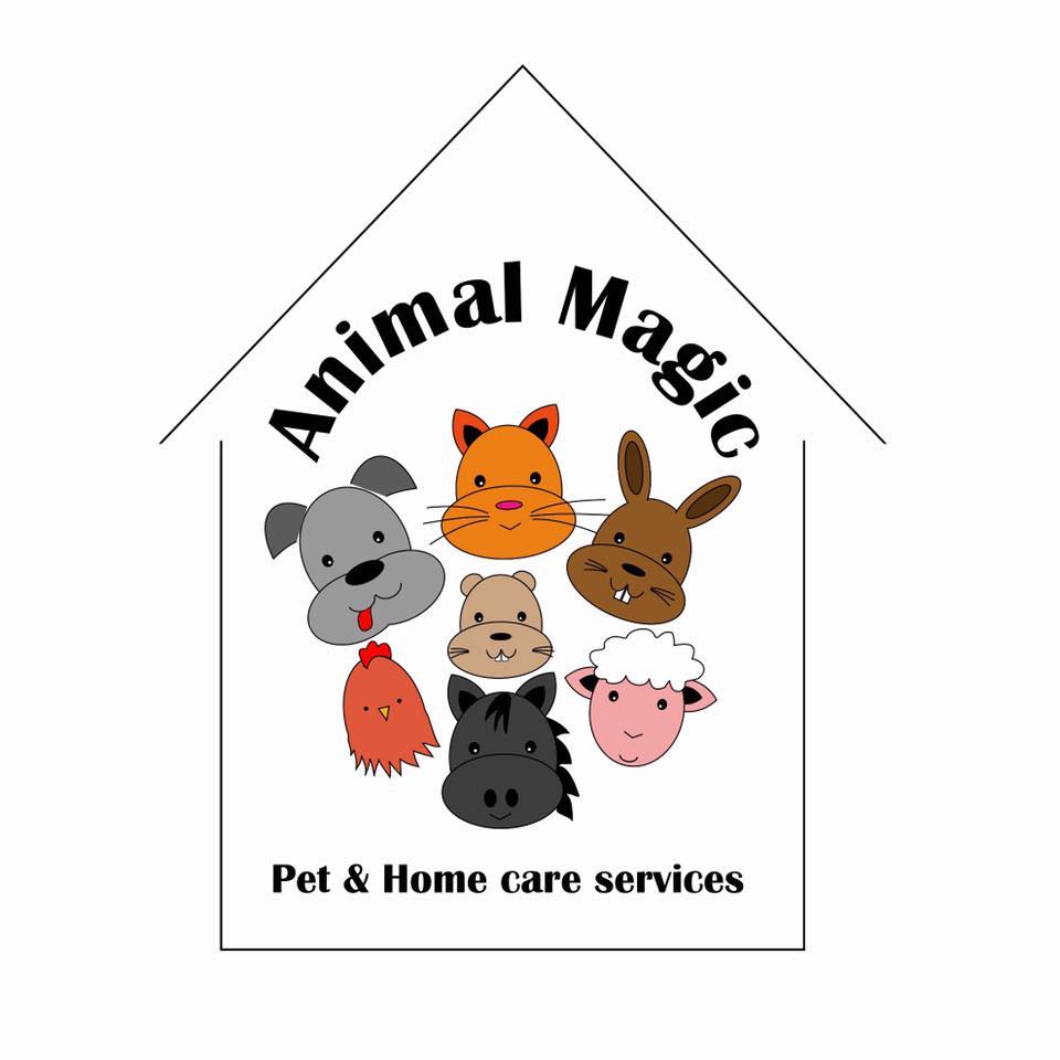 Animal Magic